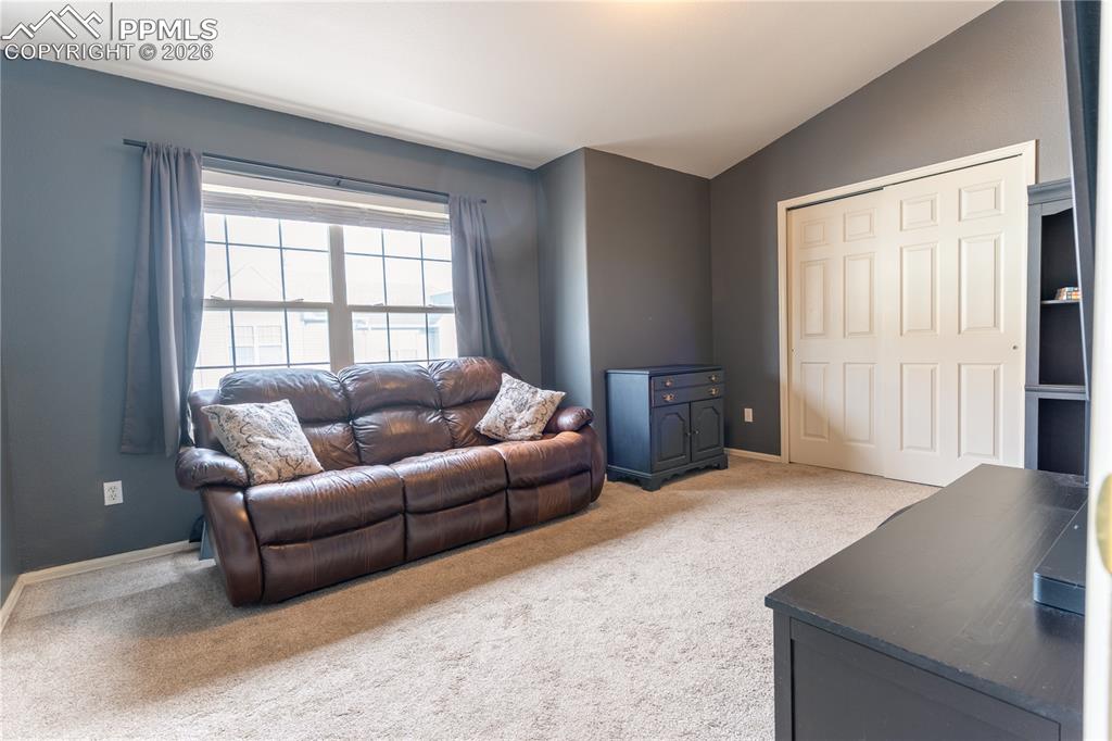 bedroom with lofted ceiling