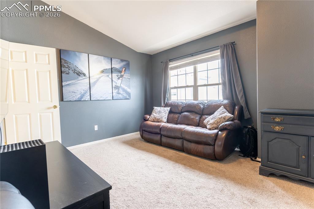 Bedroom with lofted ceiling