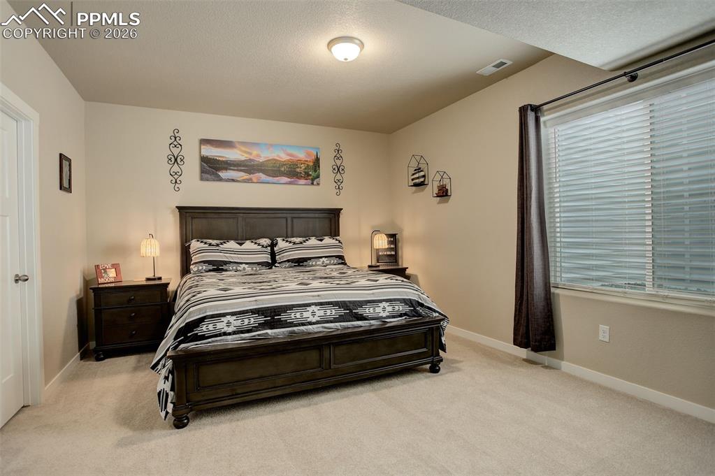 Lower Level; basement bedroom (oversized) featuring walk-in closet