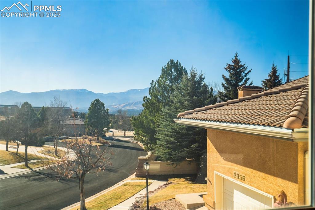 View from the front porch & office. 