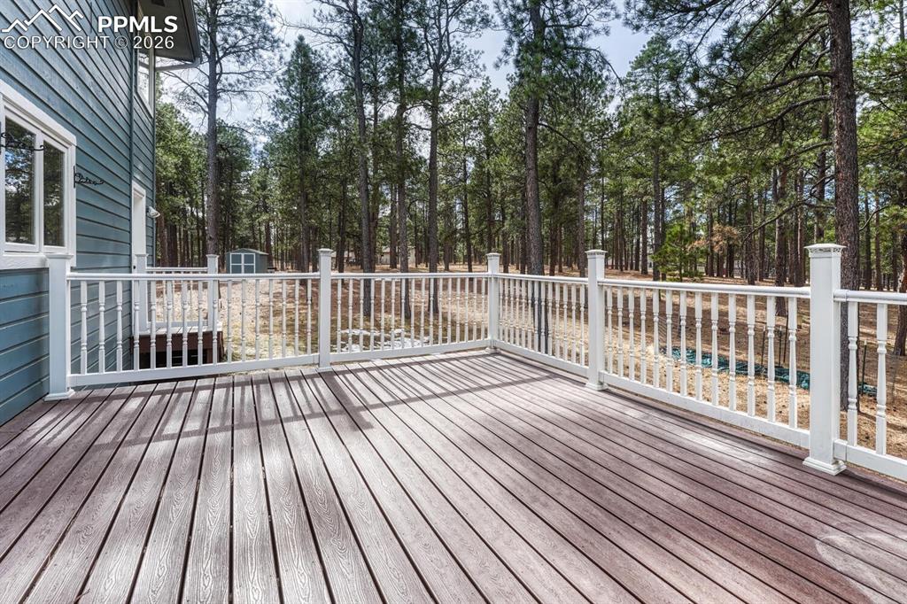 Beautiful expansive composite deck overlooking the gorgeous tree lot.