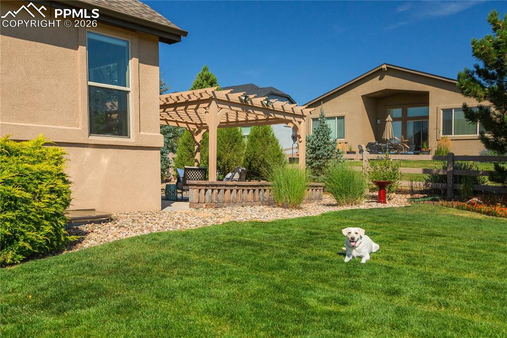 Perfect amount of grass for pets or kids.