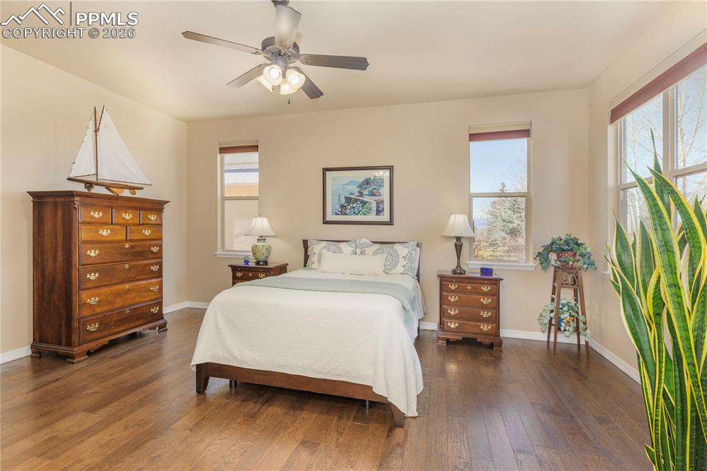 Top-of-the-line Levolor Day/Night Cellular Shades are designed for versatile light control by combining two different fabrics—light-filtering and blackout—into a single window treatment.