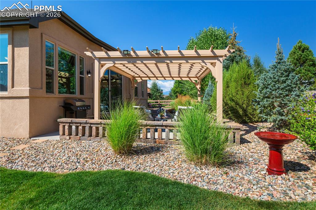 View of yard featuring a patio area and a pergola