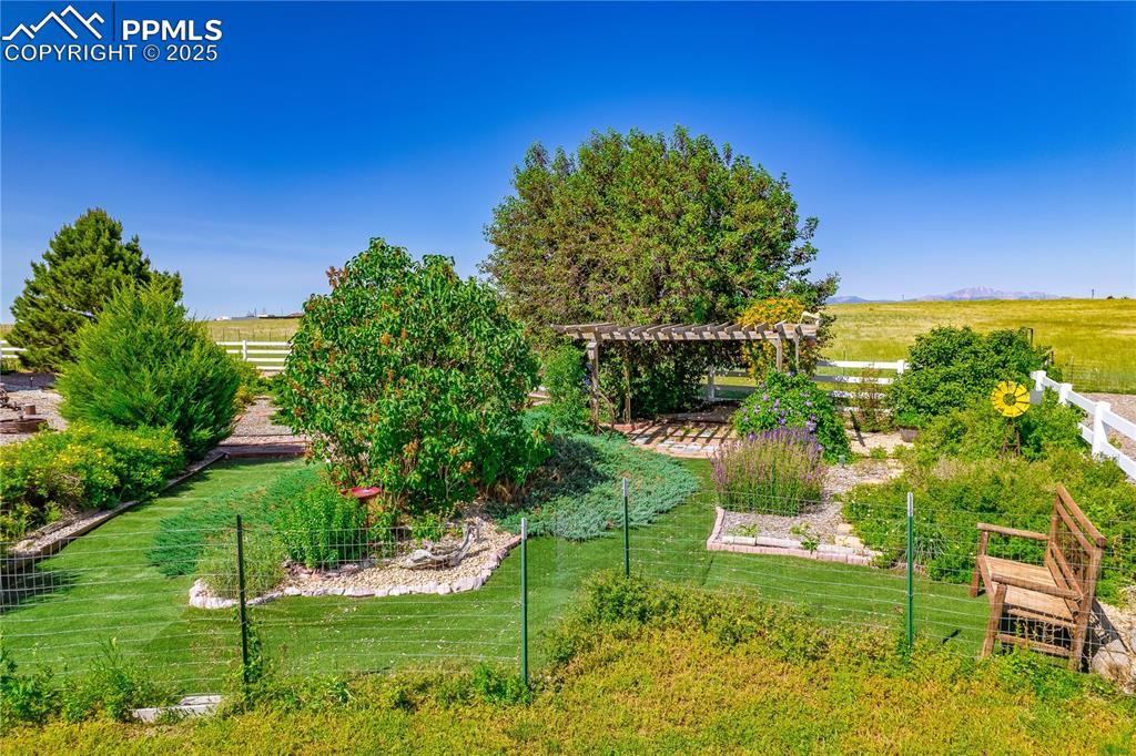 View of yard with a garden and a pergola