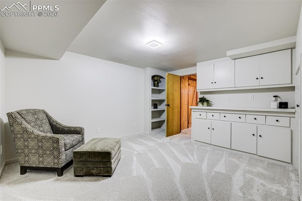 Office in basement with built ins. Would make a great craft room/playroom, gym or office