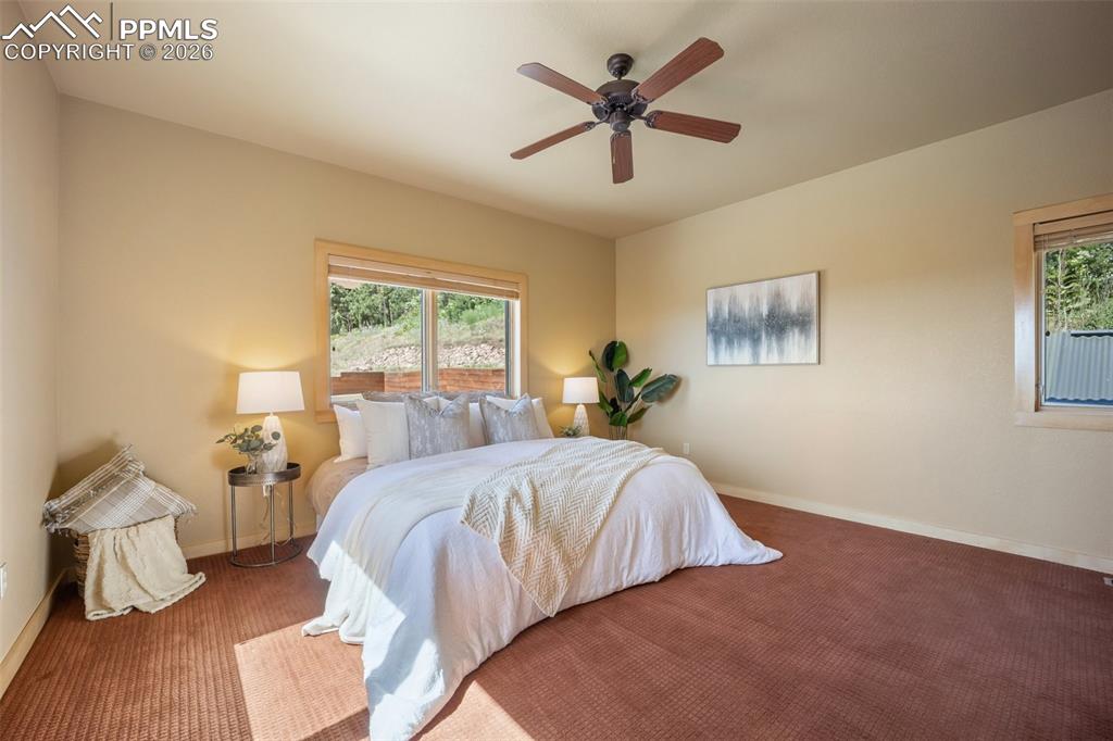 Bedroom with ceiling fan, multiple windows, and carpet floors