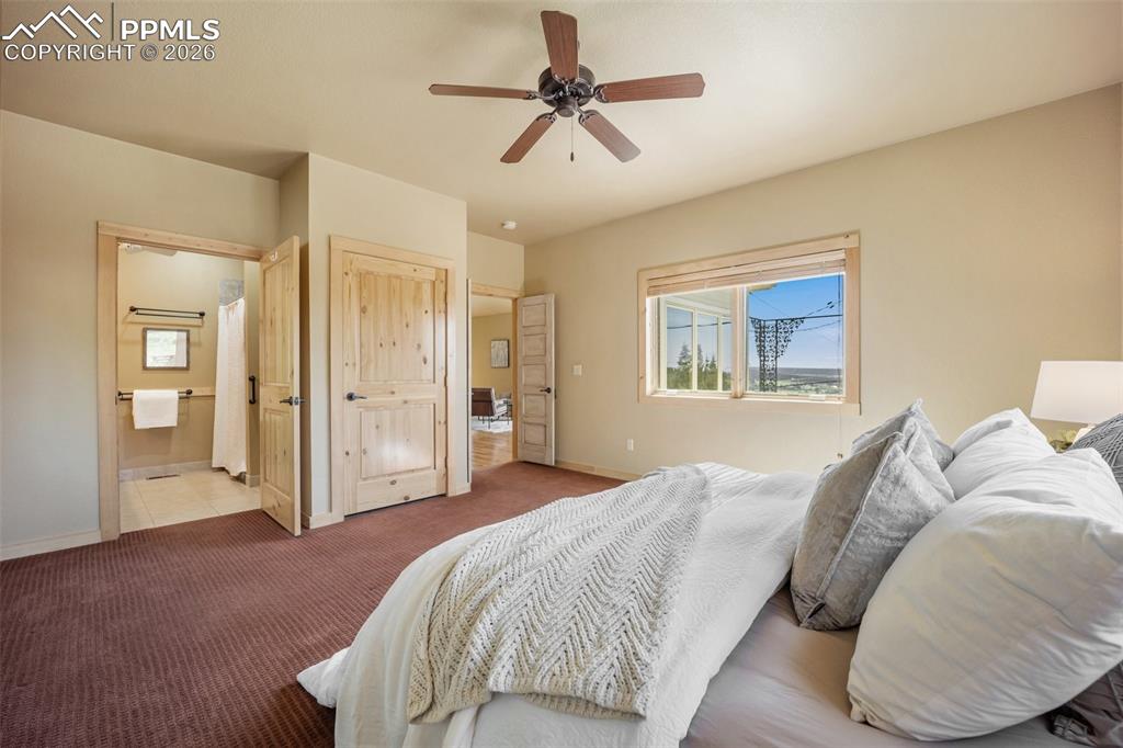 Bedroom with carpet, a ceiling fan, ensuite bath, and a closet