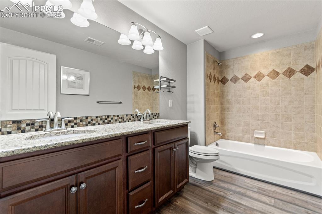 Lower level bathroom