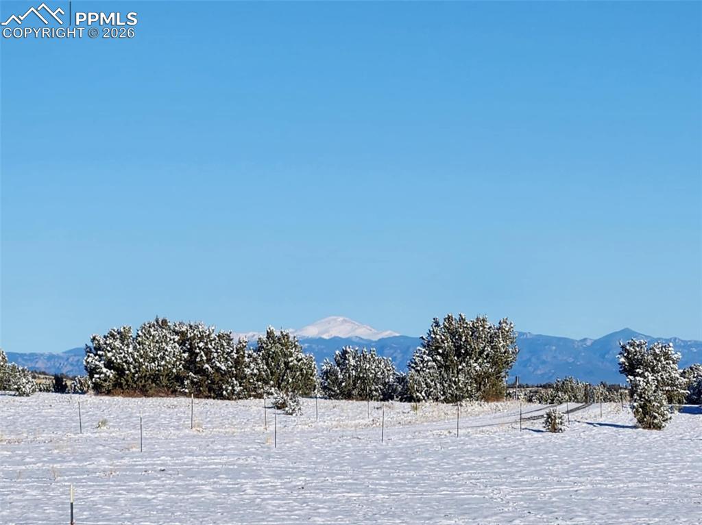 7480 Red Creek Springs Road