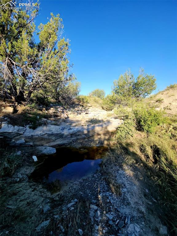 7480 Red Creek Springs Road