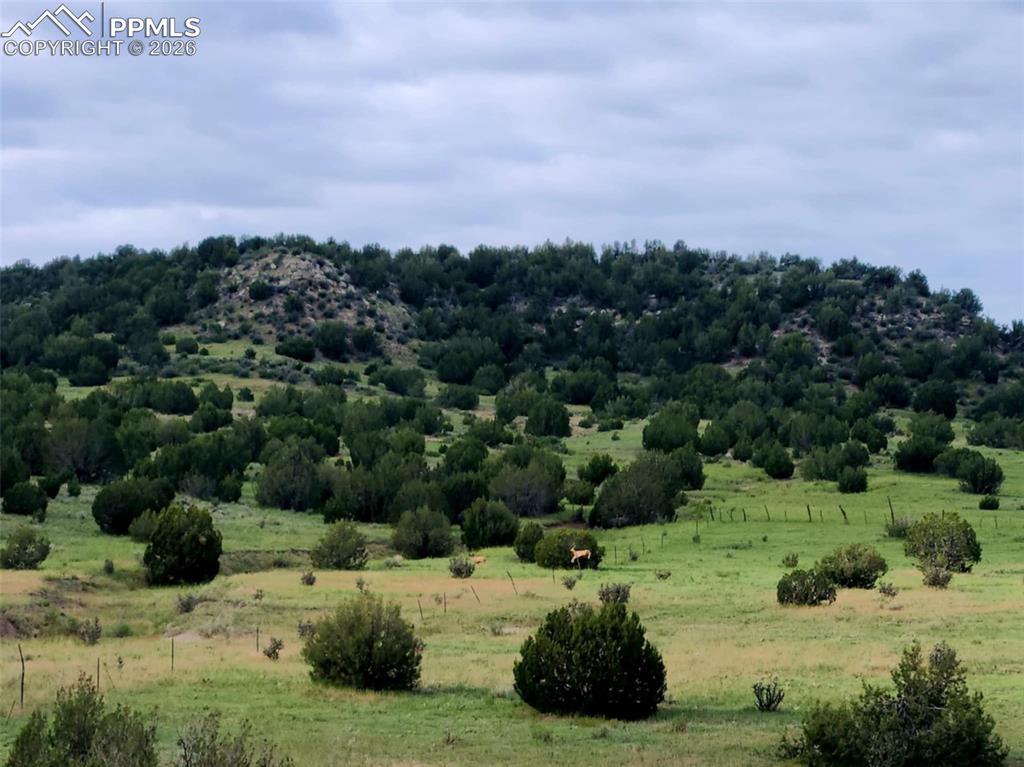 7480 Red Creek Springs Road