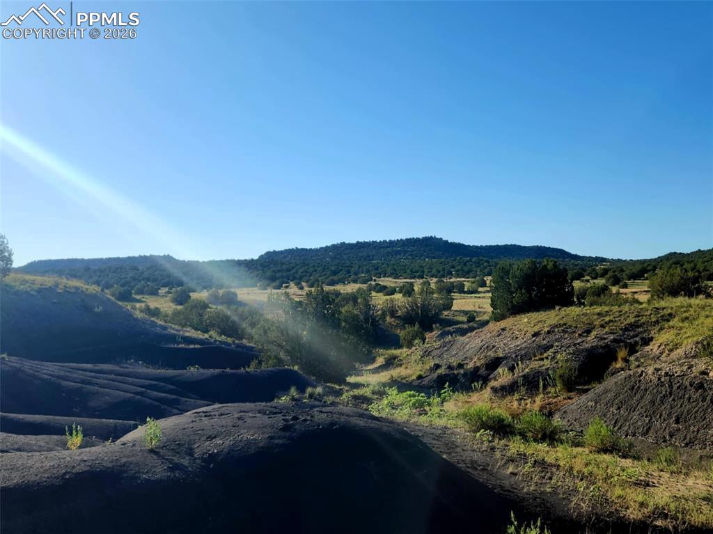 7480 Red Creek Springs Road