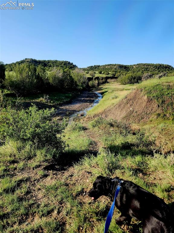 7480 Red Creek Springs Road