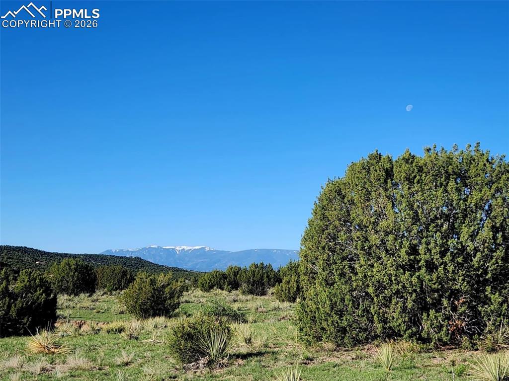 7480 Red Creek Springs Road