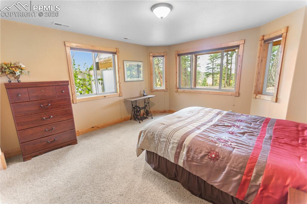 Lower level bedroom 2