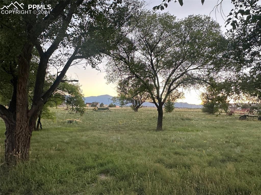 Mountain views & lots of mature trees!
