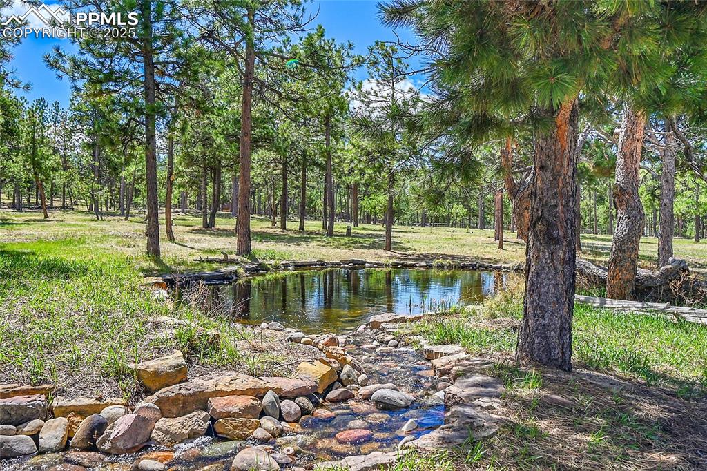 View of pond and recirculating stream
