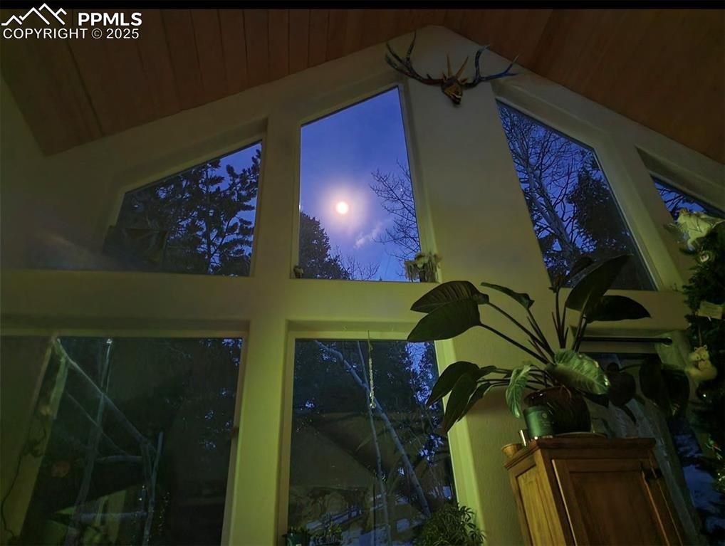 ...Quiet moonlit nights...