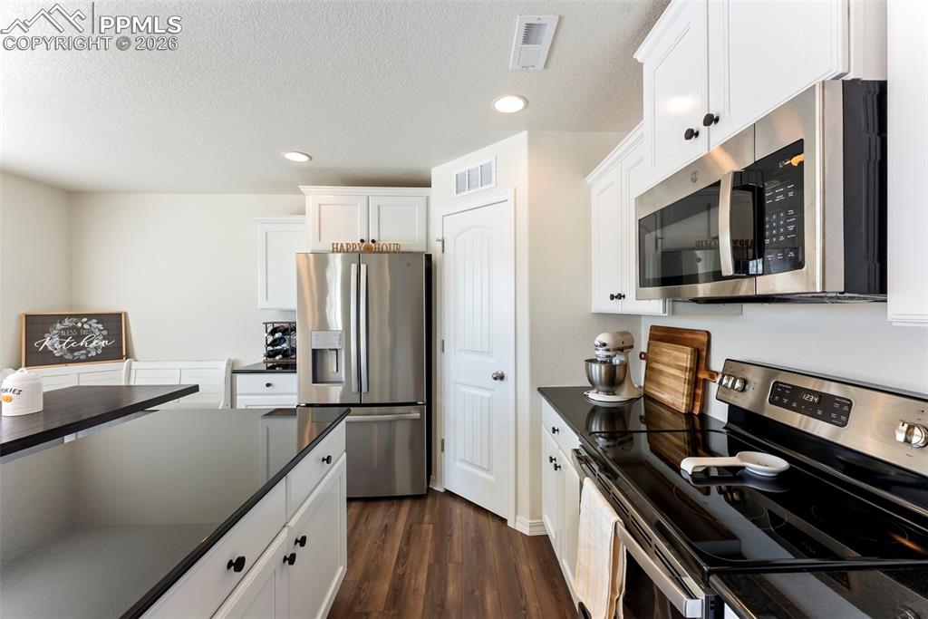 Generous pantry by the fridge
