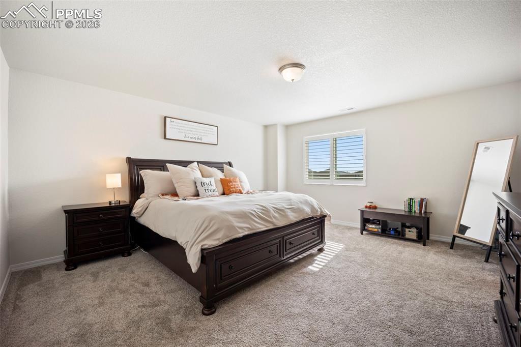 Spacious and bright Master Bedroom