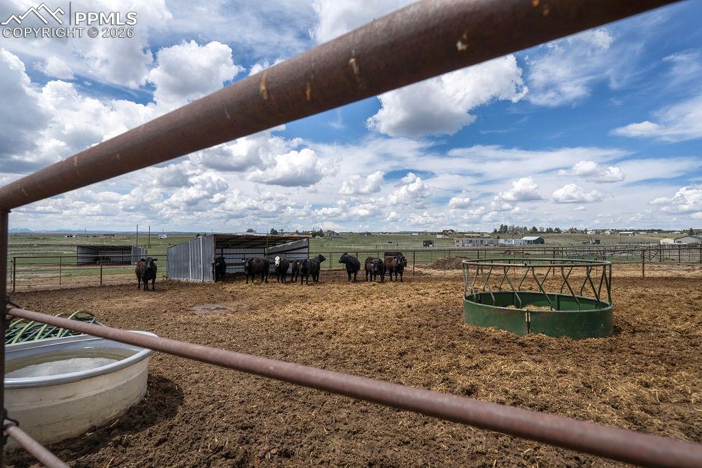 24120 Palomino Circle photo 2