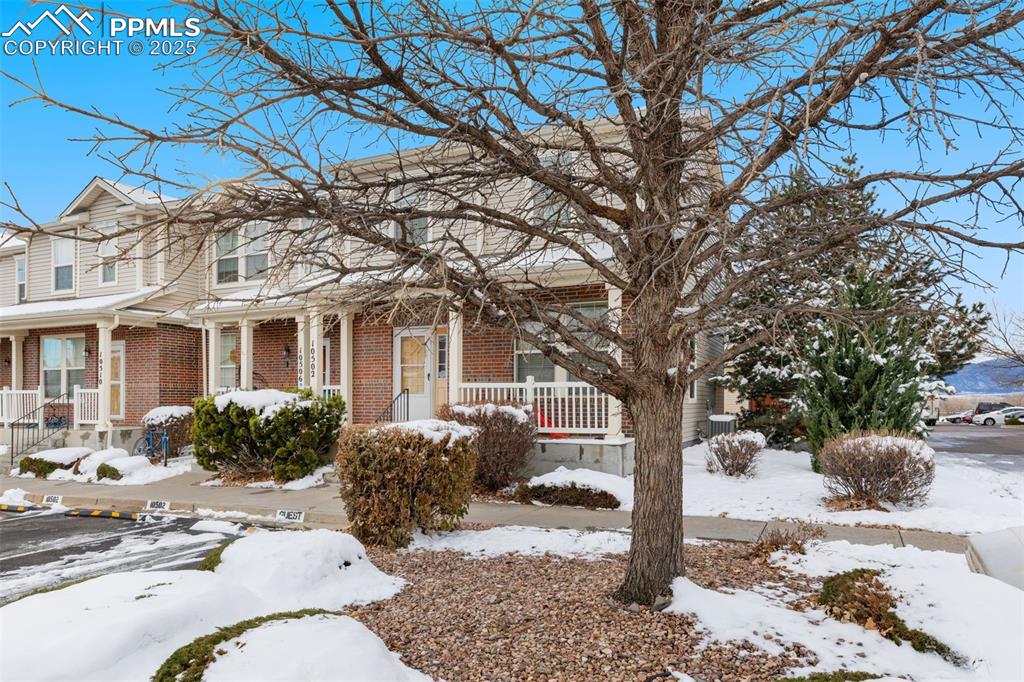 10502 Country Park Point photo 3