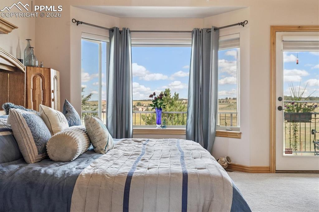 Primary with lots of windows