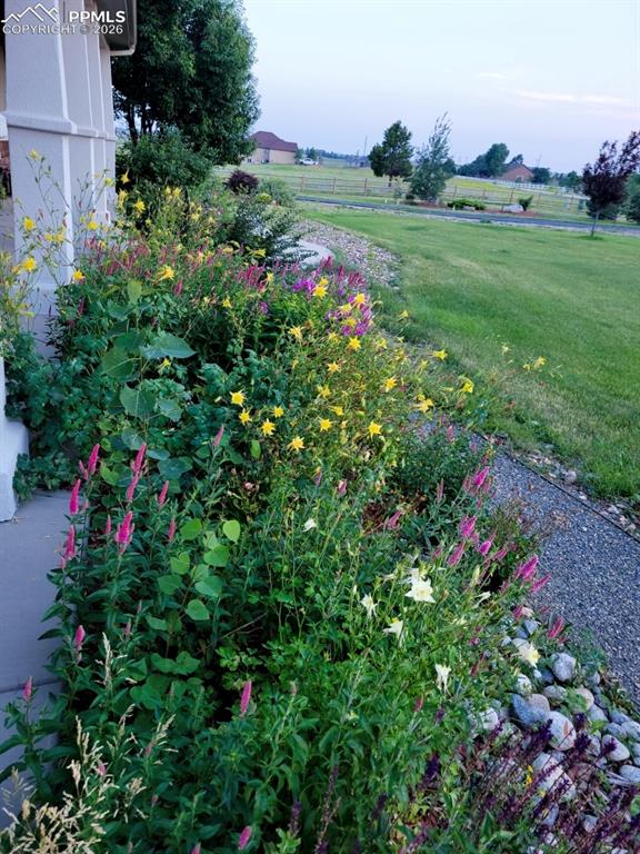 16815 Papago Way photo 3