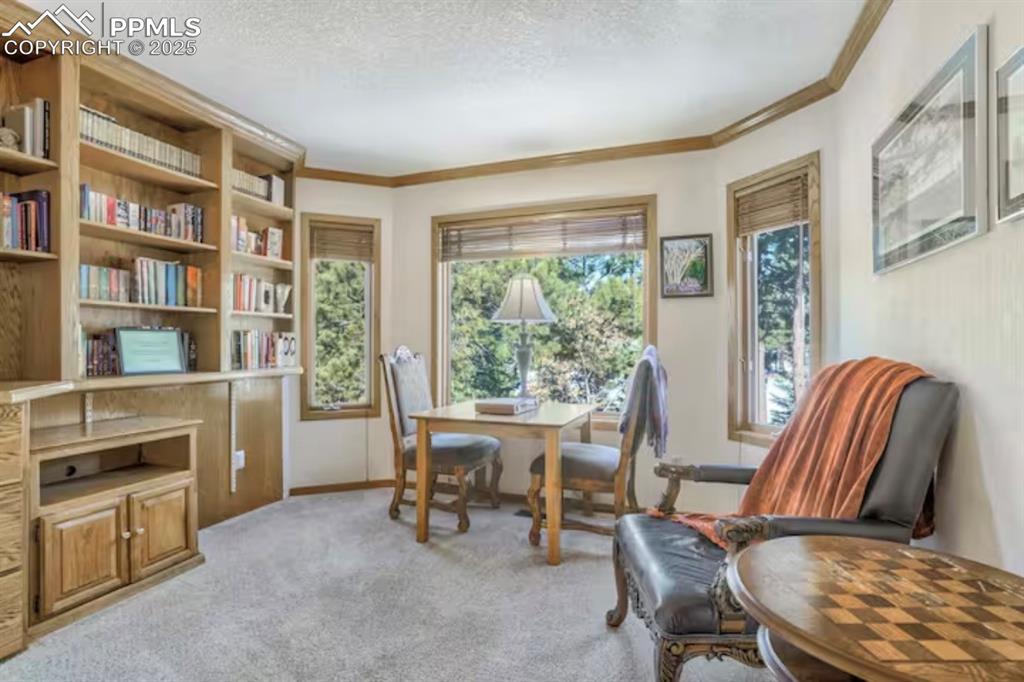 Sitting room with healthy amount of natural light, light colored carpet, a textured ceiling, and crown molding
