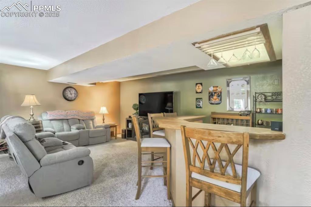 Living area featuring carpet floors