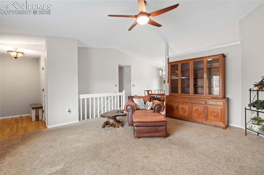 8515 Stratus Drive photo 2