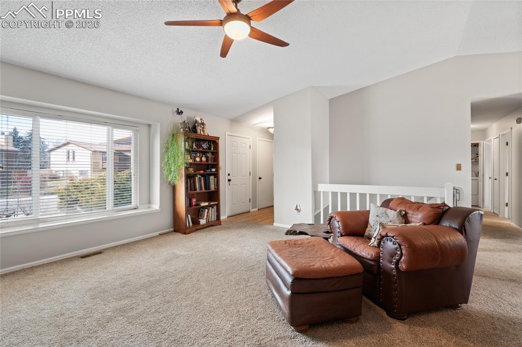 8515 Stratus Drive photo 3