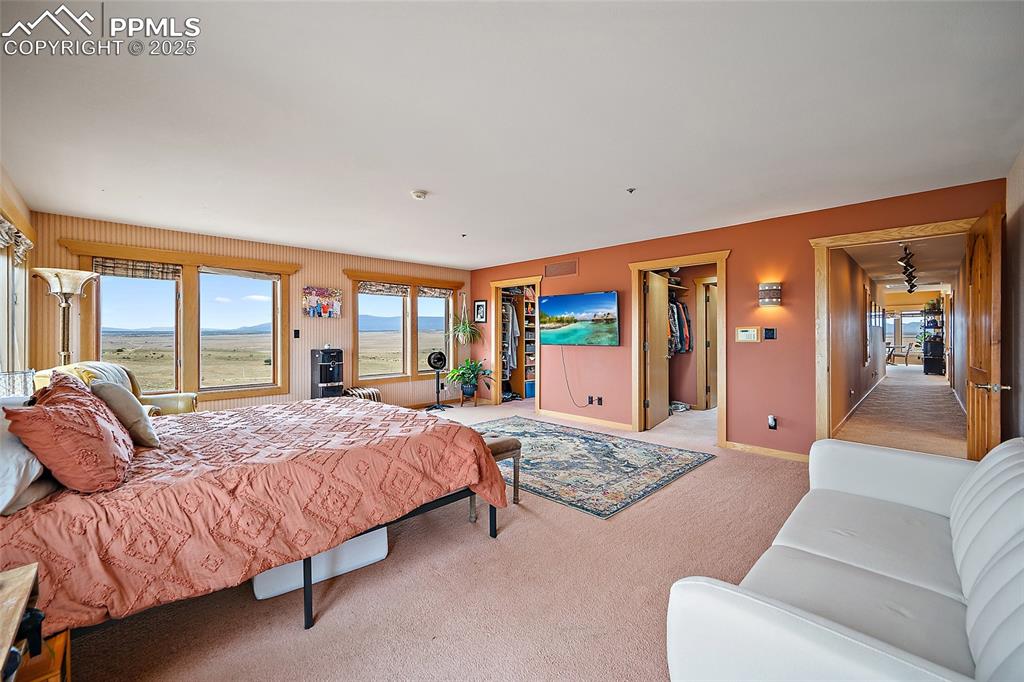 Bedroom with a walk in closet and carpet flooring