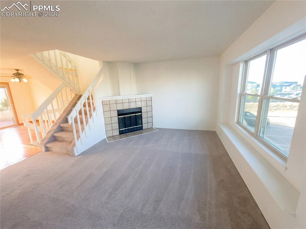 3911 Smoke Tree Drive photo 3