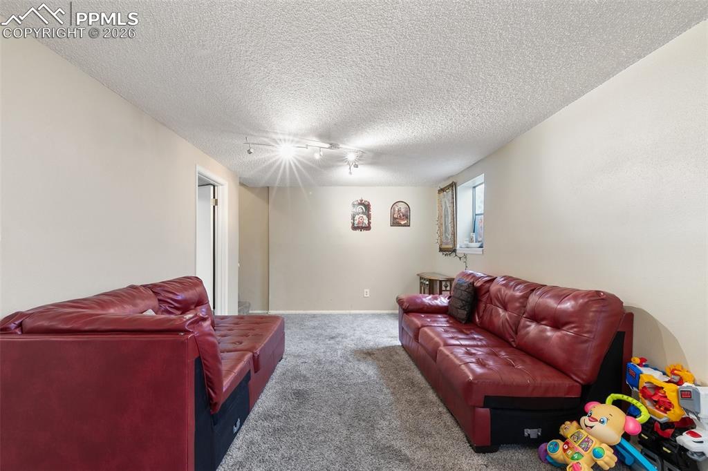 Carpeted living room featuring a textured ceiling and rail lighting