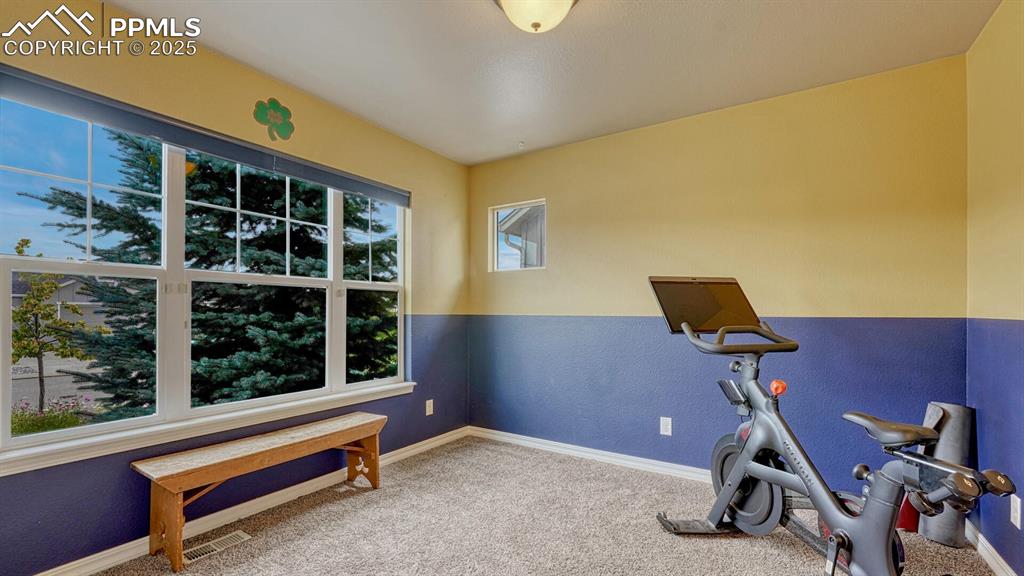 Workout room with carpet floors and a textured wall