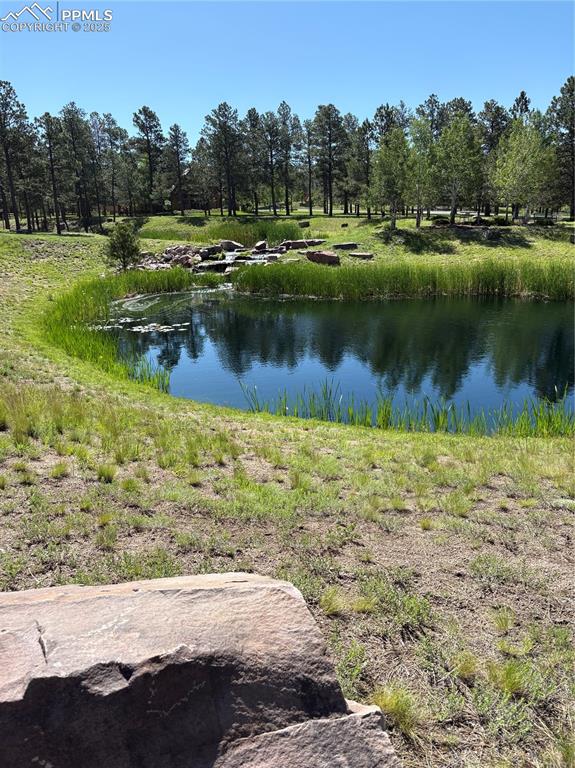 Water view near the lodge- fishing pond
