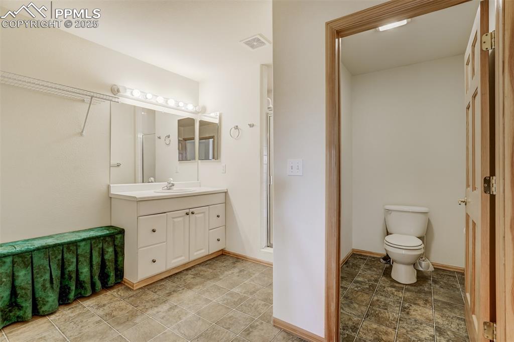 Lower level bathroom with vanity, walk-in shower and separate toilet area.