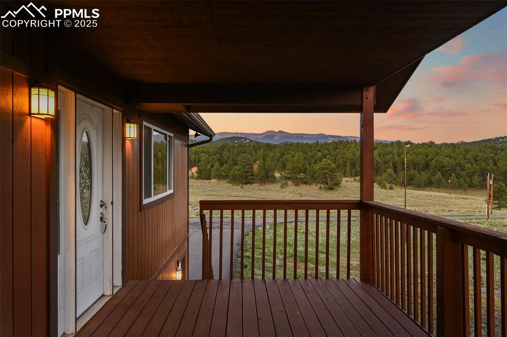 115 White Tail Lane photo 3