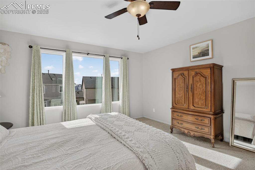 Master has lots of natural light