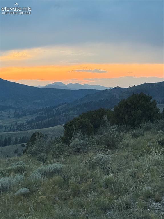 110 Guendel Pl, Fort Garland, CO 81133