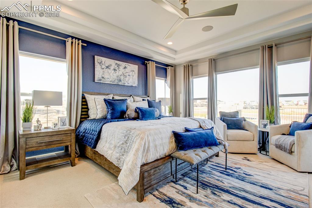 Bedroom featuring a tray ceiling and ceiling fan