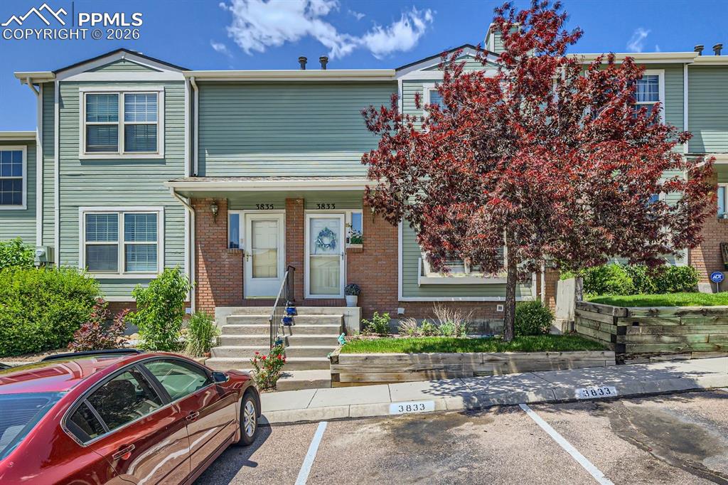 3833 Smoke Tree Drive photo 2