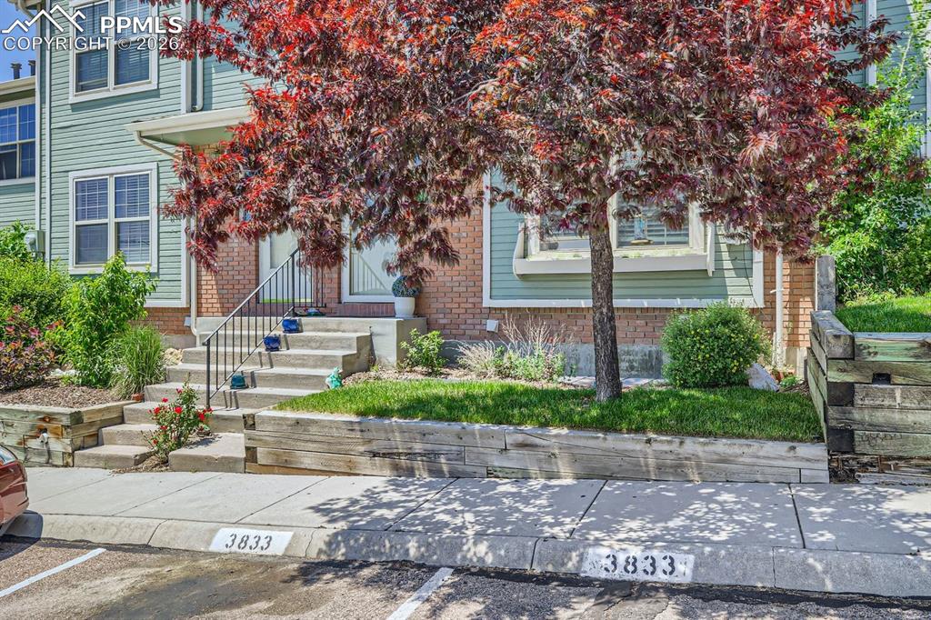 3833 Smoke Tree Drive photo 3