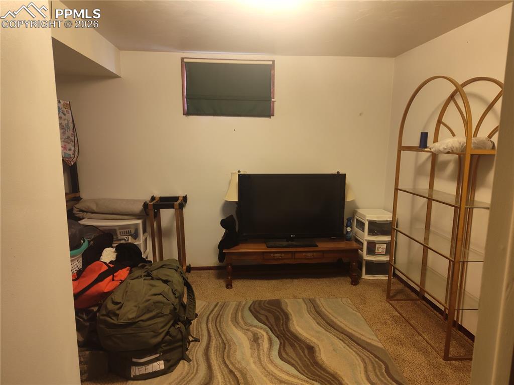 bedroom in the basement