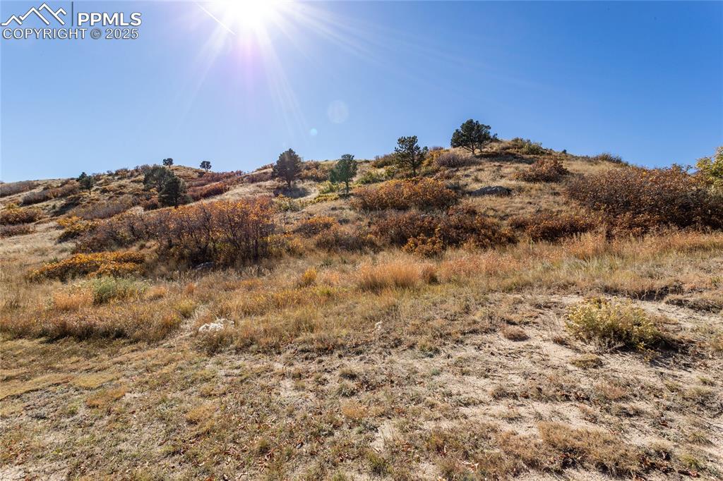 Bluff view from front of home