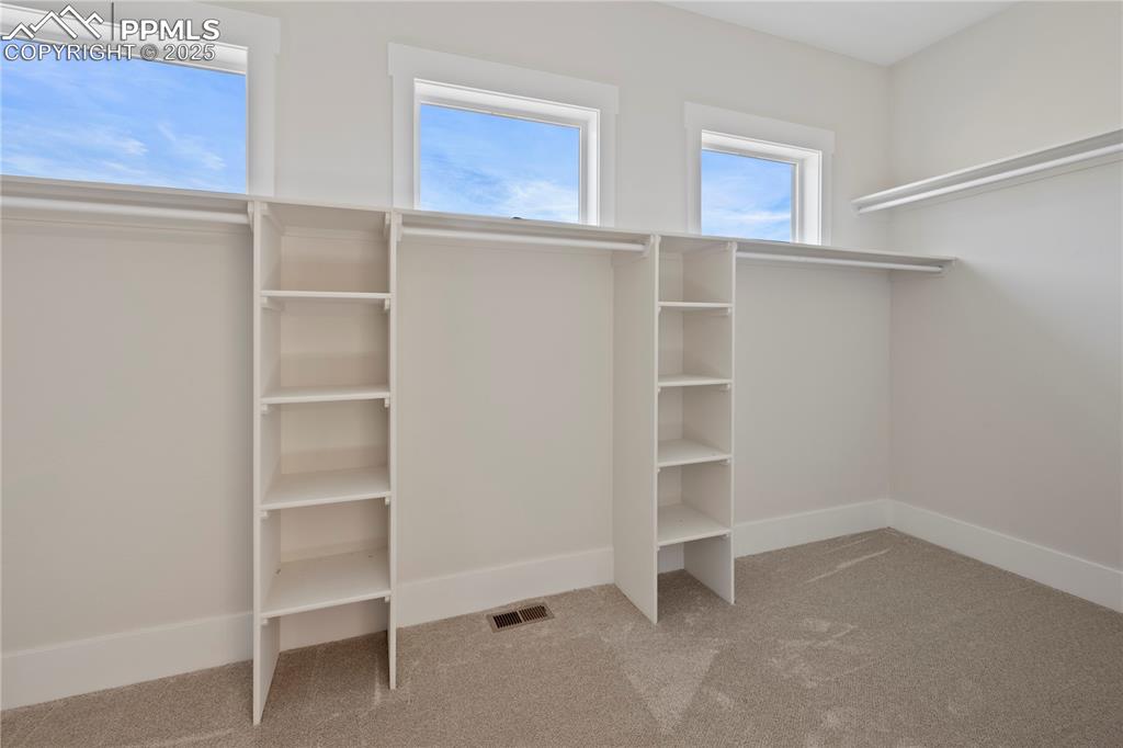 Walk in closet featuring carpet and visible vents