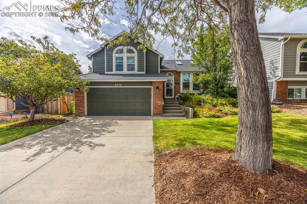 8820 Boxelder Drive photo 2