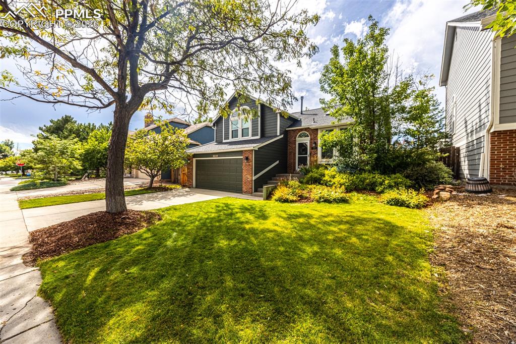 8820 Boxelder Drive photo 3